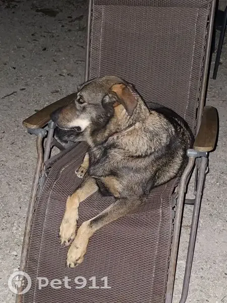 Alerte: 3 Beaucerons Évadés - photo