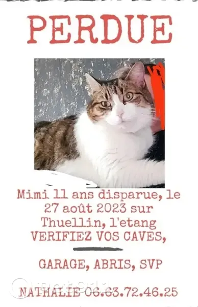 Mimi retrouvée, saine et sauve - photo