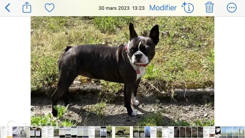 Ony perdue, contactez-nous! - photo