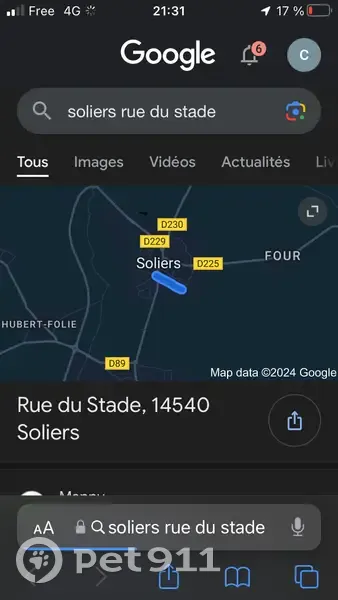 Chiot aveugle retrouvé à Soliers - photo
