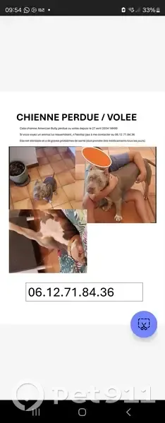 Alerte: Vol d'une Bully à Arles - photo