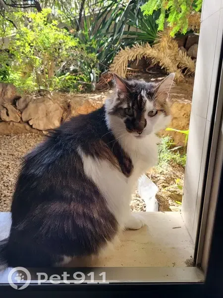 Appel: Aidez à retrouver Tony - photo