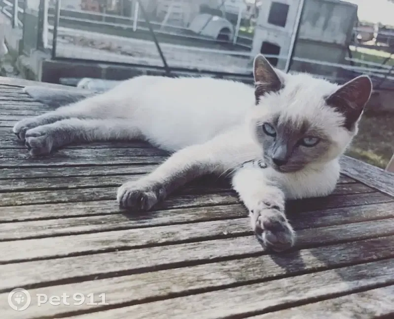 Minette Ruby disparue à Thiel - photo