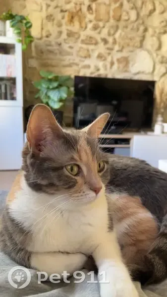 Sokah
