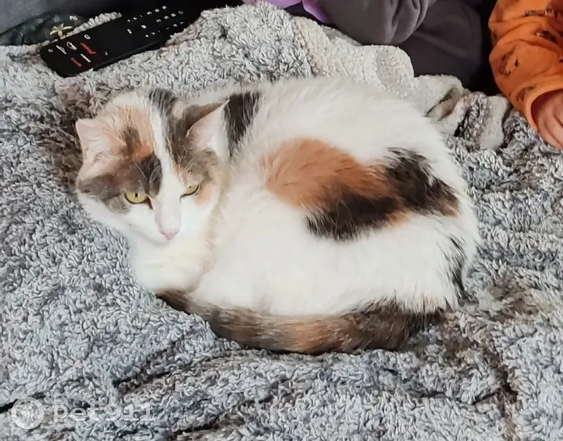 Avis de recherche: Bichette - photo