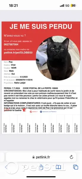 Chat noir perdu à Aulnay-sous-Bois - photo