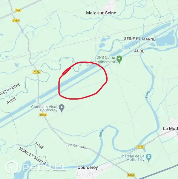 Chat perdu près du plan d'eau Courceroy - photo