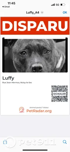 Staff noir perdu, Luffy, Noisy-le-Sec - photo