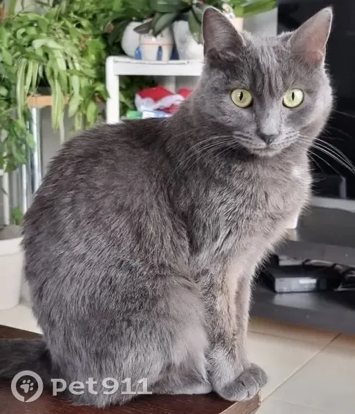 Minette Baya disparue à Sainte-Reine - photo