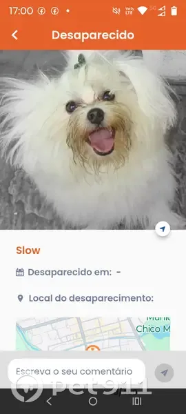 Cachorro perdido Macho (brl001174) - photo