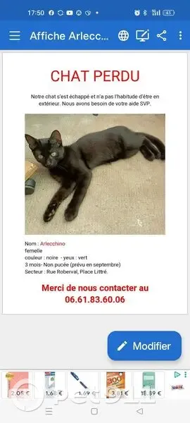 Chatonne noire perdue, Rue Roberval - photo