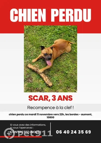 Chien perdu Rue du Lavoir, Les Bordes-Aumont - photo