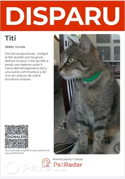 Chat perdu : Tigrré, peureuse à Viriville - photo