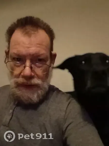 Lost Black Dog: Curly Tail in Sand Springs - photo