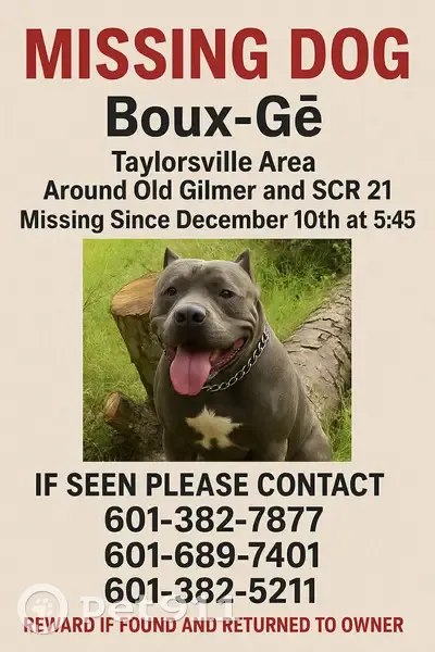 Lost XL Bully: Dark Blue with White Spot - photo