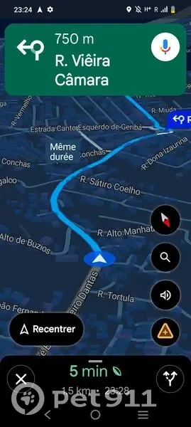 cachorro encontrada - photo