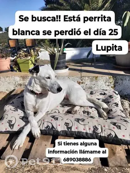 ¡Ayuda a encontrar a Lupita en Andalucía! - photo