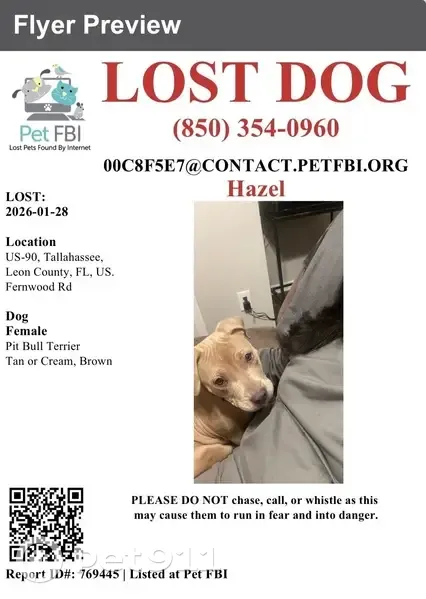 Lost Tan Dog: Fernwood Rd, Tallahassee - photo
