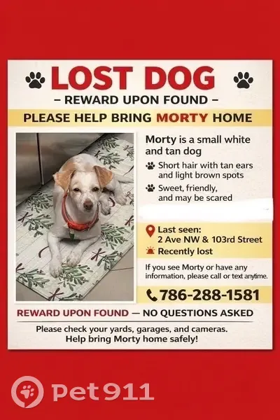 Lost Dog: White/Brown Spots in Miami - photo