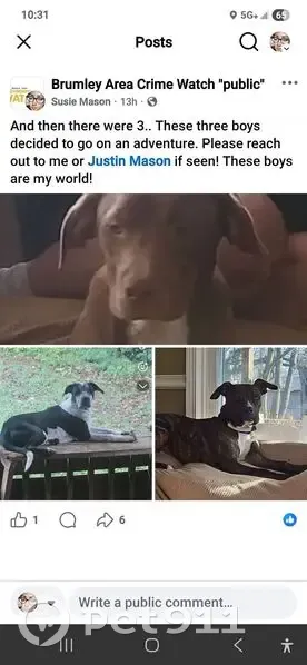 Help Find Sid, Jordy & Kratos in Keethtown! - photo