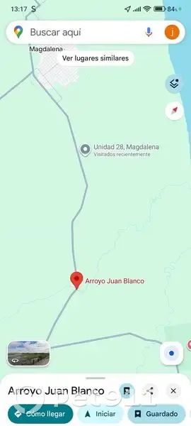 ¡Ayuda! Perra Joven Encontrada en Magdalena - photo