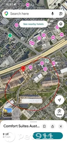 Lost собака, East Ben White Boulevard, Austin - injured, emotional support pet - photo