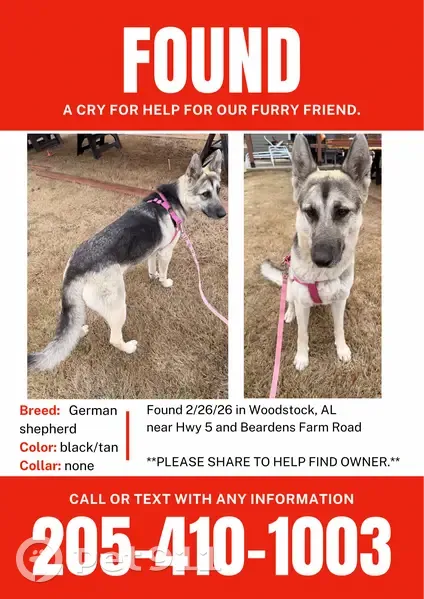 Found Собака, Female, Thrasher Road, 16, Woodstock - photo