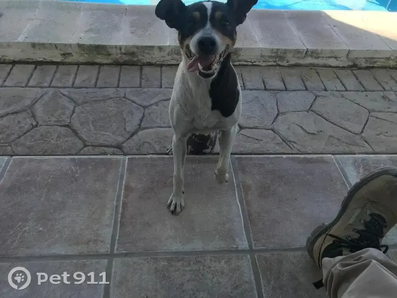 Bodeguera Linda perdida en Campillos - photo