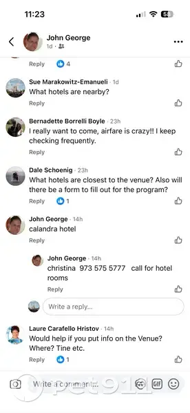 Lost female cat, Brick Township, Leisure Village East - black with a purple collar - photo