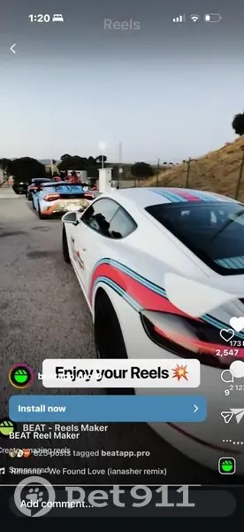 Lost male dog, Cynthia Drive, Cahokia - older Maltese with a lump on chest - photo