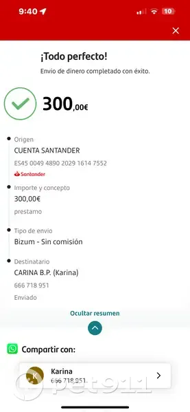 Perdido gato hembra, Cartagena: barrio Peral - photo