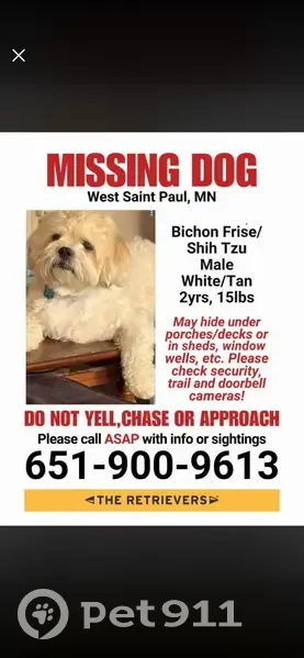 Lost male dog, Allen Avenue, 1077, Saint Paul - blue collar, chipped - photo