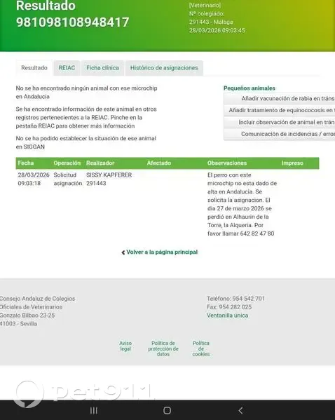 Perdido perro masculino, Diseminado No Urbanizable, 22, Alhaurin de la Torre - pelo largo blanco - photo