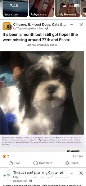 Lost female dog, South Essex Avenue, Chicago - black and white - photo