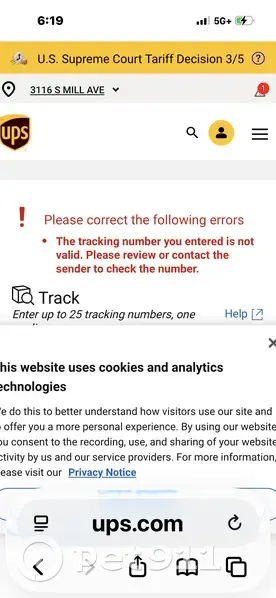 Lost female dog, South Sossaman Road, 1342, Mesa - small tan with pink bling collar - photo