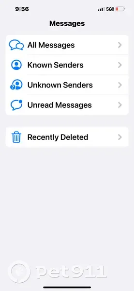 Lost female dog, West 8th Street, Weslaco - black and white Yorkie mix - photo