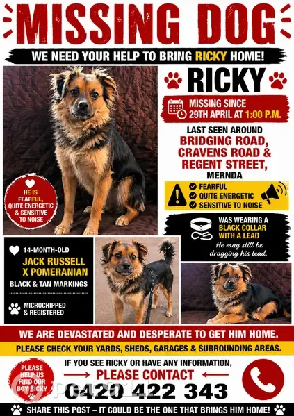 Lost male dog, Sackville Street, 37, City of Whittlesea - black body with tan face - photo
