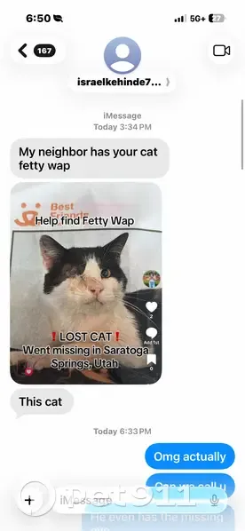 Lost cat, Crossroads Boulevard, 2, Saratoga Springs - male, black and white, one-eyed - photo