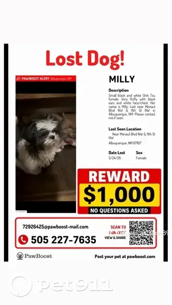 Lost dog, 11th Street Northwest, 1047, Albuquerque - female Shih Tzu - photo