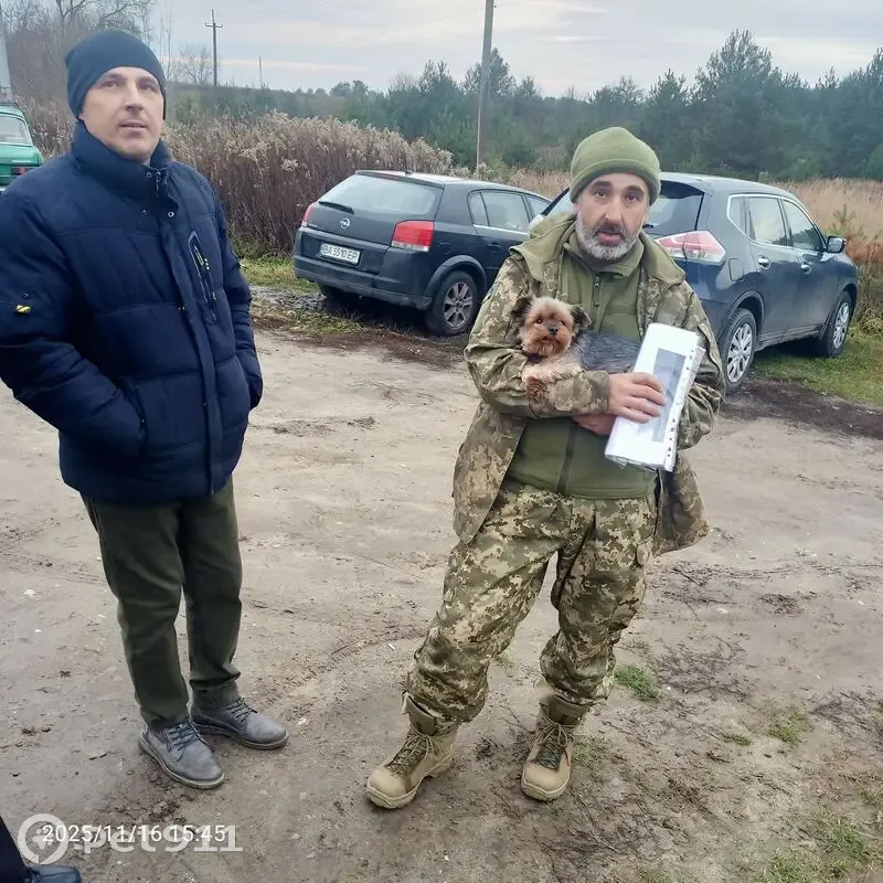 Зникла собака, Керченська вулиця, Львів — дуже добра - photo