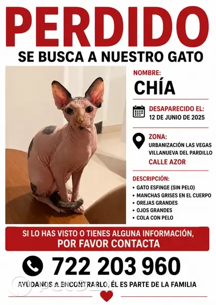 Perdido gato hembra en Calle Azor, 10, Villanueva del Pardillo, Las Rozas de Madrid - con manchas - photo