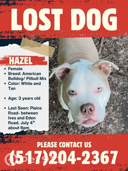 Lost dog, Leslie, Michigan, Westland - female, very shy and timid - photo