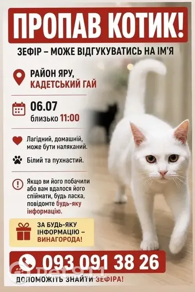 Зникла кішка, вулиця Кадетський Гай, 11, Новосілки - photo