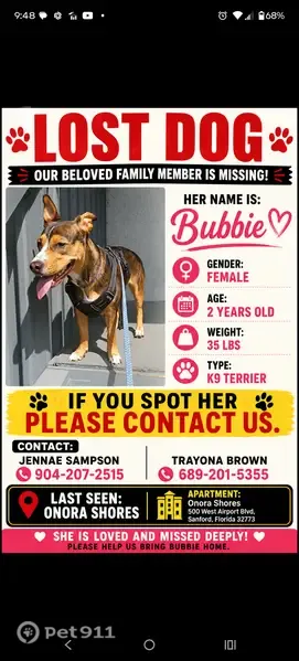 Lost dog, Sanford, Florida - brown with a white belly, black harness, blue leash - photo