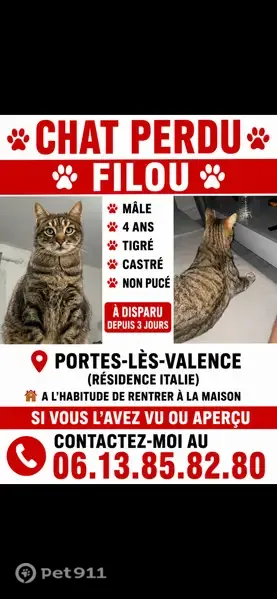 Chat perdu mâle, Rue Marcel Paul, Portes-lès-Valence — tigré, affectueux - photo