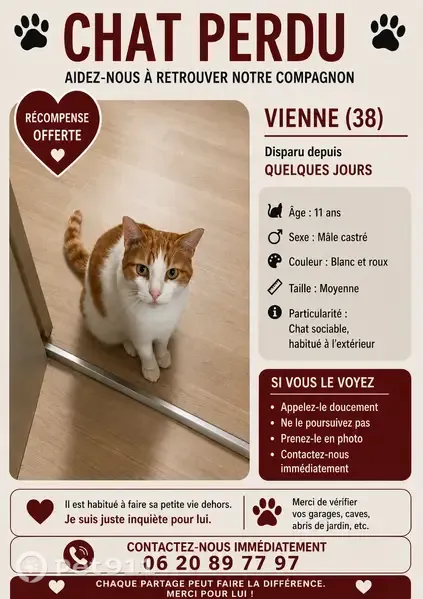 Chat perdu mâle, Rue Jean-François Bouthier, 7, Vienne — blanc et roux, castré - photo
