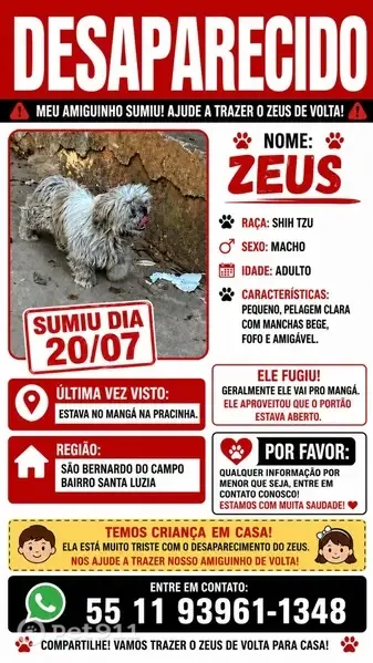 Perdido cachorro macho, Rua Isao Sato, 68 — olho machucado - photo