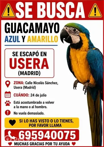 Perdida ave, Calle de Nicolás Sánchez, 94, Usera, Madrid - muy simpática, 1 año - photo