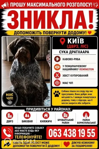 Зникла собака, Алматинська вулиця, Київ — мисливська німецький дратхаар у помаранчевому нашийнику - photo