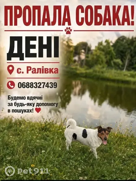 Зникла собака, Ралівка - photo